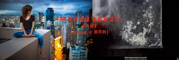 сатива Медногорск