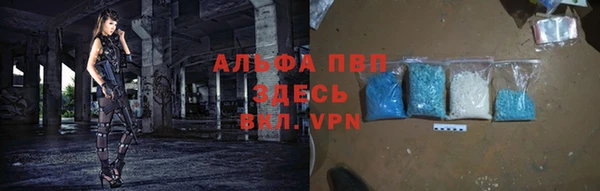 сатива Медногорск