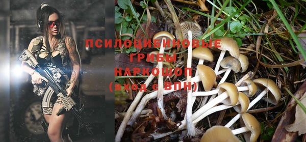 марки nbome Медвежьегорск