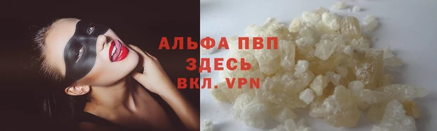 сатива Медногорск