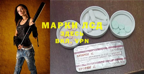 ГАЛЛЮЦИНОГЕННЫЕ ГРИБЫ Майский