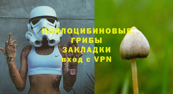 МДПВ Мегион