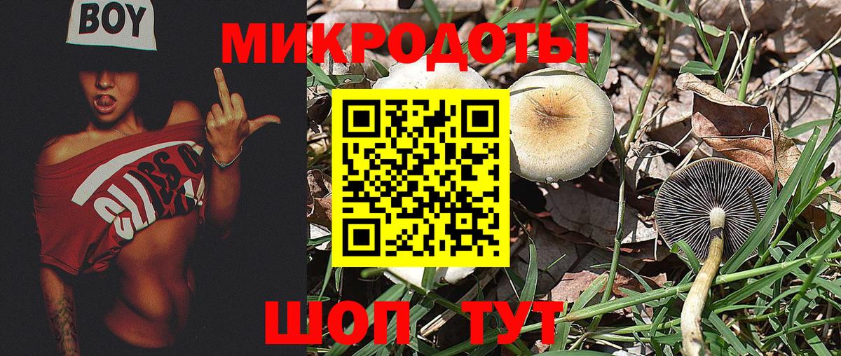 Псилоцибиновые грибы мухоморы  Галлюциногенные грибы Psilocybe  Краснодар  Вход с VPN 